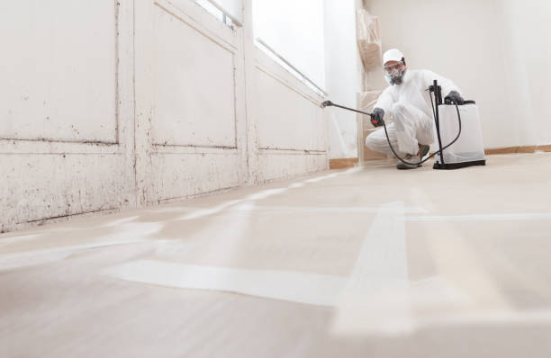 24/7 Emergency Mold Remediation experts in Franklin, GA